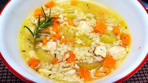 Healthy Chicken Rice Soup Recipe | DIY Joy Projects and Crafts Ideas