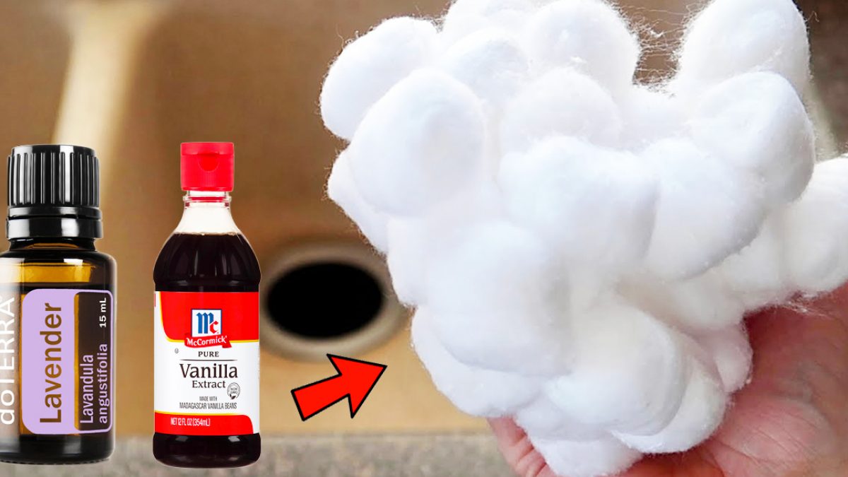 How To Make The House Smell Clean Using Cotton Balls