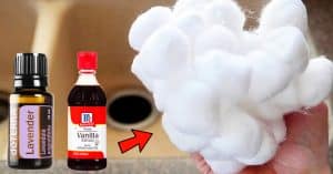 How To Make The House Smell Clean Using Cotton Balls