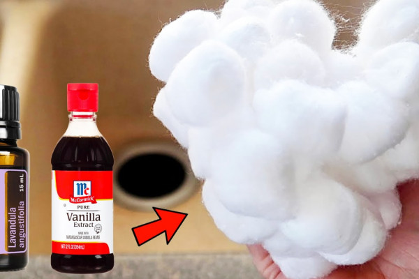 How To Make The House Smell Clean Using Cotton Balls - DIY Cotton Balls - DIY Fresheners