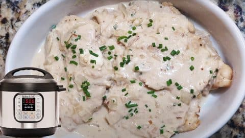 Instant Pot Sour Cream And Onion Chicken Recipe | DIY Joy Projects and Crafts Ideas