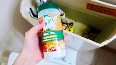 How To Keep The Bathroom Smelling Clean Without Air Freshener | DIY Joy Projects and Crafts Ideas