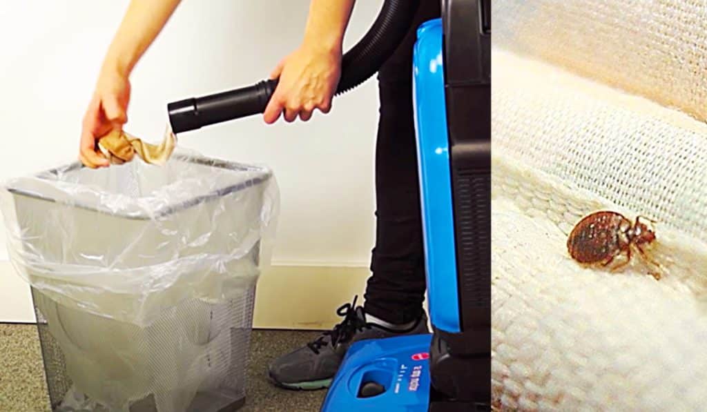 How To Get Rid Of Bed Bugs - How To Vacuum Bed Bugs With Panty Hose - Easy Bed Bug Control
