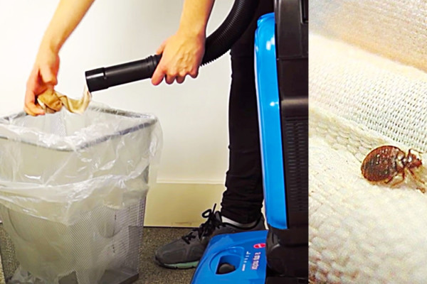 How To Get Rid Of Bed Bugs - How To Vacuum Bed Bugs With Panty Hose - Easy Bed Bug Control