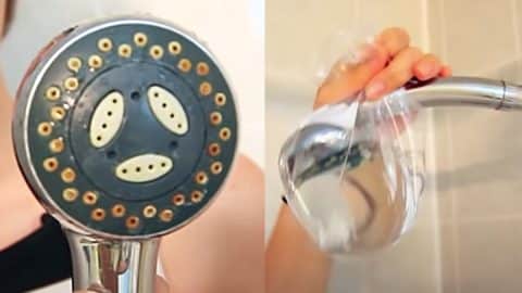 How To Descale A Shower Head With A Plastic Bag | DIY Joy Projects and Crafts Ideas