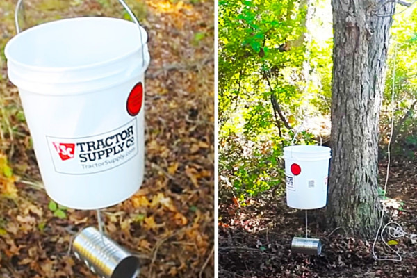 Five Gallon Bucket Deer Feeder - Easy deer Feeder Idea - How To Feed Deer