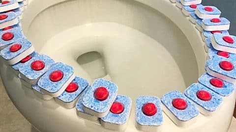 How To Clean An Entire Bathroom With Dishwasher Tablets | DIY Joy Projects and Crafts Ideas