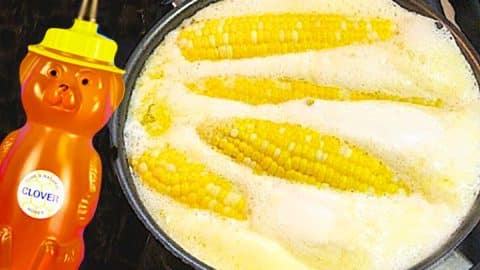 Milk And Honey Sweet Corn Recipe | DIY Joy Projects and Crafts Ideas