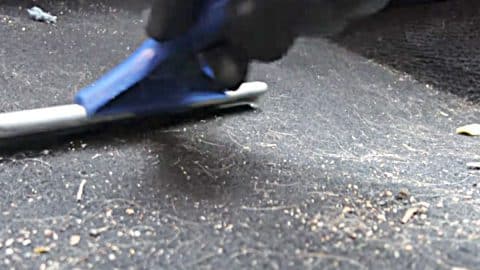 How To Get Pet Hair Out Of The Car With A Shower Squeegee | DIY Joy Projects and Crafts Ideas