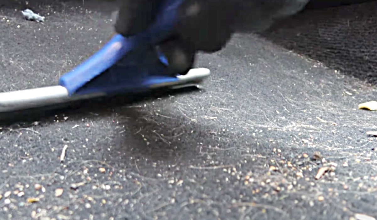 How To Get Pet Hair Out Of The Car With A Shower Squeegee | DIY Joy Projects and Crafts Ideas