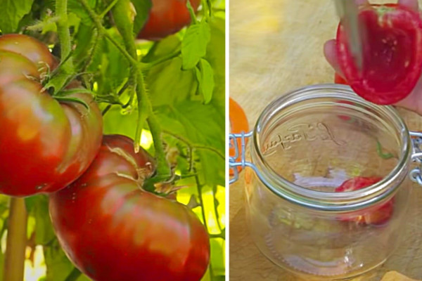How To Save Seeds - Harvest The Seeds From Heirloom Tomatoes - How To Save Bell Pepper Seeds.