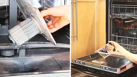 How To Clean A Smelly Dishwasher | DIY Joy Projects and Crafts Ideas