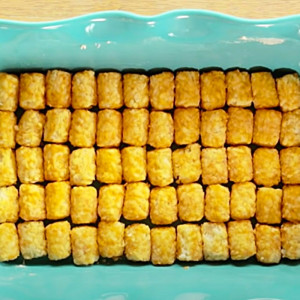 Pioneer Woman Tater Tot Casserole Recipe Diy Joy