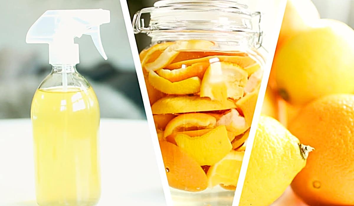 2-Ingredient All-Purpose DIY Citrus Cleaner | DIY Joy Projects and Crafts Ideas