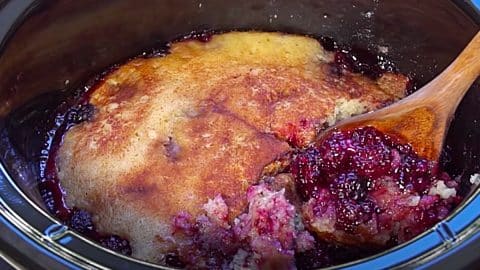 Crockpot Cobbler With Blackberries Recipe | DIY Joy Projects and Crafts Ideas