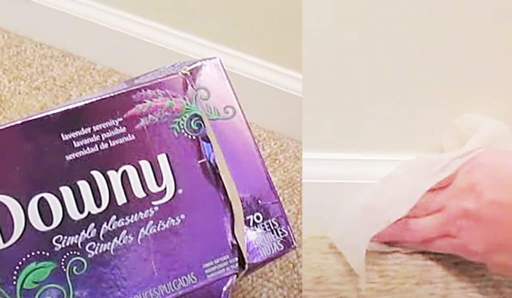 How To Clean Baseboards With Dryer Sheets - Easy Way To Clean Baseboards - DIY Cleaning Ideas