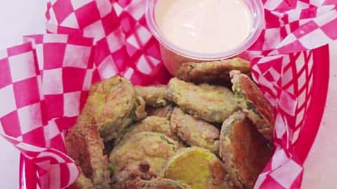 Copycat Hooters Air Fryer Pickles Recipe | DIY Joy Projects and Crafts Ideas