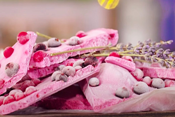 Berry Frozen Yogurt Bark Recipe - Easy Dessert Ideas - How To Make Bark Candy