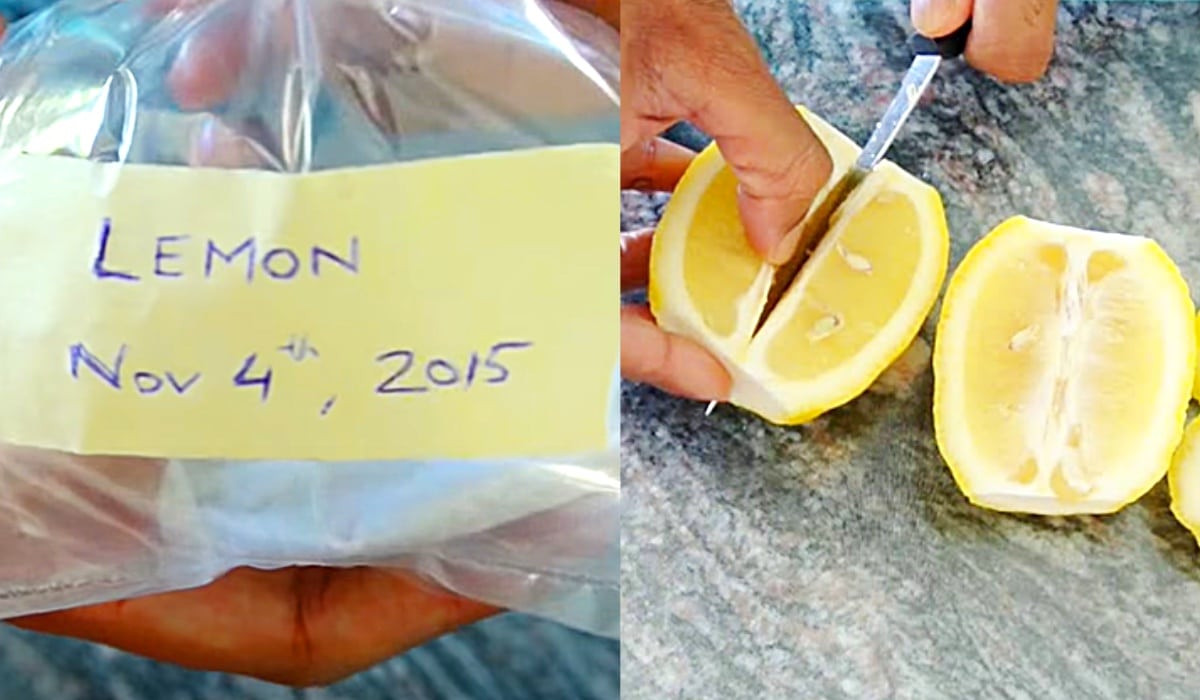 How To Grow A Lemon Tree From Seeds | DIY Joy Projects and Crafts Ideas