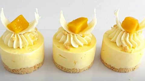 Mini Mango Cheesecakes Recipe | DIY Joy Projects and Crafts Ideas