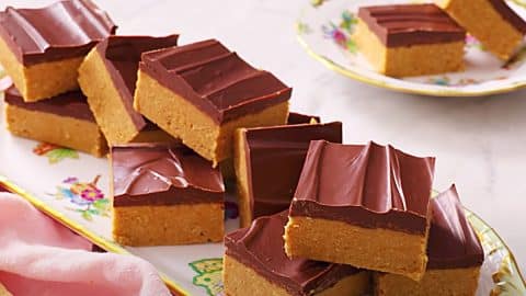 No-Bake Peanut Butter Chocolate Bars Recipe | DIY Joy Projects and Crafts Ideas