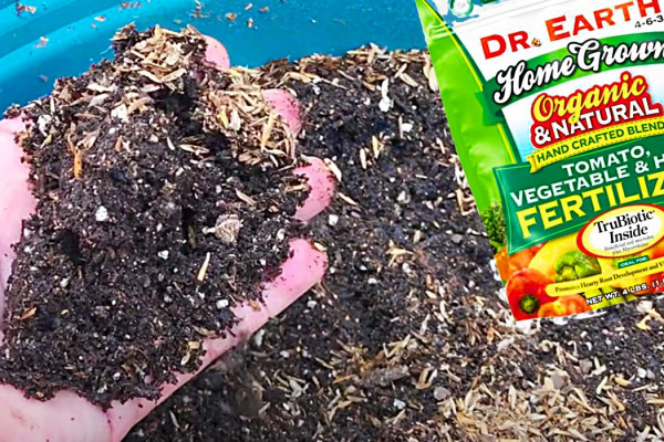 How To Revitalize Soil - Easy Ways To Reuse Soil- Make Potting Soil Fresh Again