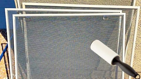 How To Clean Screens With A Lint Roller | DIY Joy Projects and Crafts Ideas