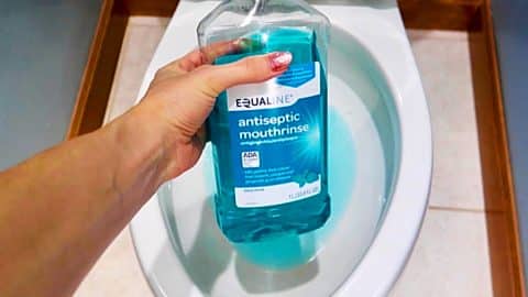 How To Clean A Toilet With Mouthwash | DIY Joy Projects and Crafts Ideas
