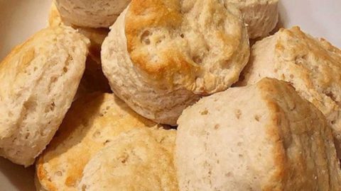 2-Ingredient Homemade Biscuits Recipe | DIY Joy Projects and Crafts Ideas