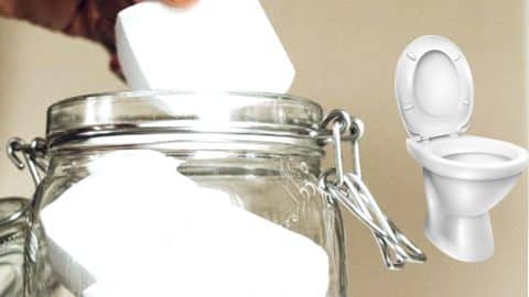 DIY Self Cleaning Toilet Bombs | DIY Joy Projects and Crafts Ideas