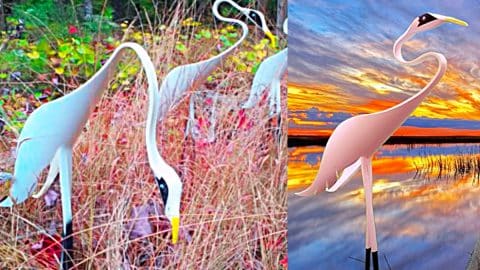 How To Make A Garden Egret With PVC Pipe | DIY Joy Projects and Crafts Ideas