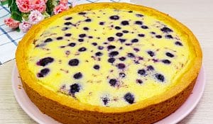 Blueberry Torte Cake Recipe