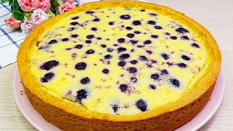 Blueberry Torte Cake Recipe | DIY Joy Projects and Crafts Ideas