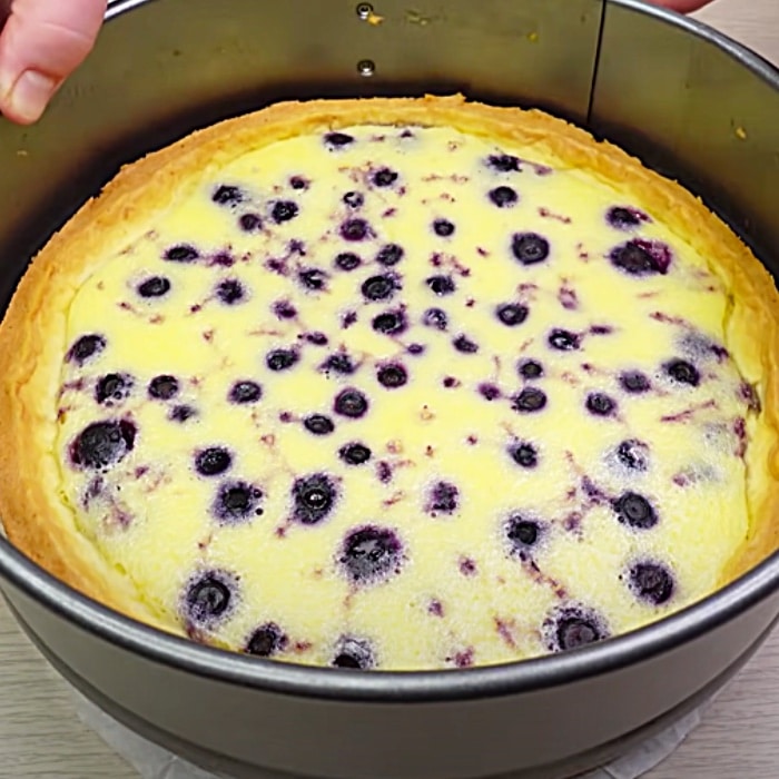 Blueberry Torte Cake Recipe - Easy Dessert Ideas - Blueberry Flan Recipe