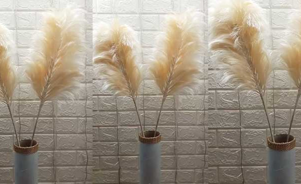 DIY Pampas Grass - DIY Home Decor