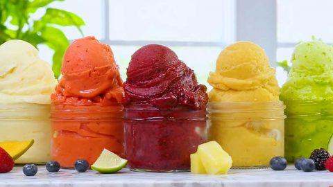 5 Easy Dairy-Free Fruit Sorbet Recipes | DIY Joy Projects and Crafts Ideas