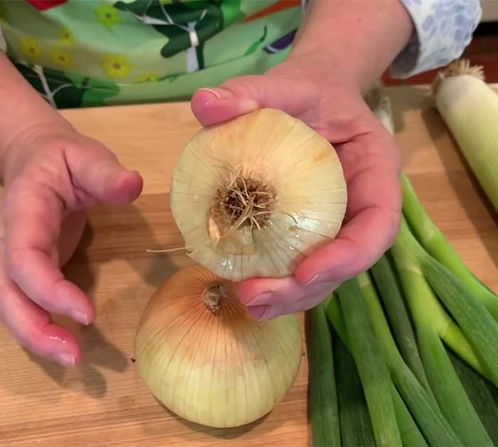 Re Grow Onions 