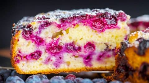 Lemon Blueberry Cake Recipe | DIY Joy Projects and Crafts Ideas