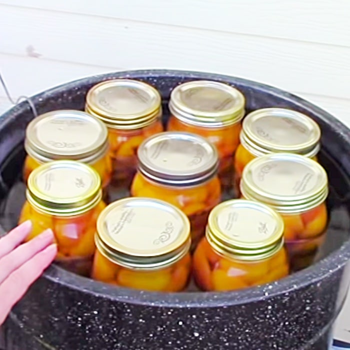 How To Can Peaches - Easy Canned Peaches Recipe - Can Your Own Food - How To Can Food At Home