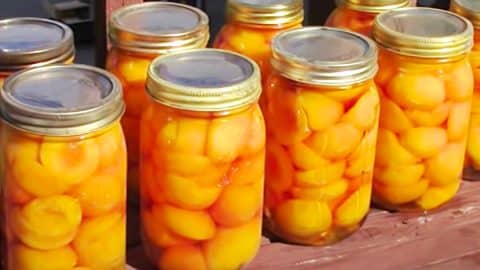Canned Peaches Recipe | DIY Joy Projects and Crafts Ideas