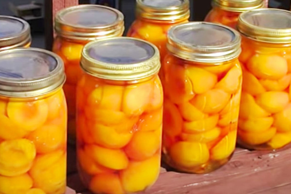 How To Can Peaches - Easy Canned Peaches Recipe - Can Your Own Food - How To Can Food At Home
