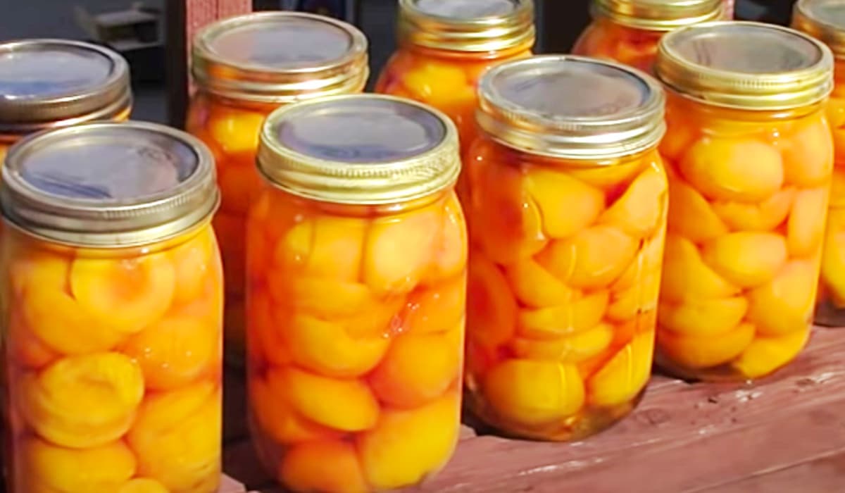 Canned Peaches Recipe