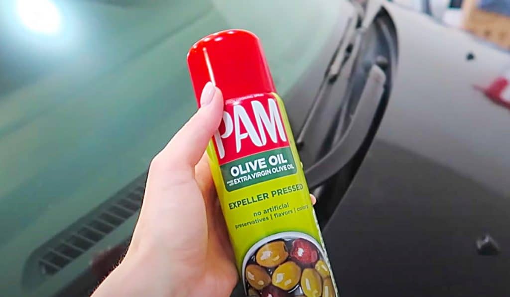 How To Restore Windshield Wiper Blades With Cooking Spray - Cooking Spray Hacks - How To Clean With Pam