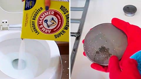 How To Clean With Washing Soda | DIY Joy Projects and Crafts Ideas