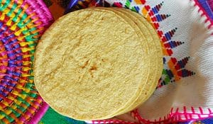 Homemade Corn Tortillas Recipe