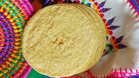 Homemade Corn Tortillas Recipe | DIY Joy Projects and Crafts Ideas