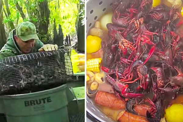 Louisiana Crawfish Boil - How To Catch Crawfish - Bayou Life - Southern Living