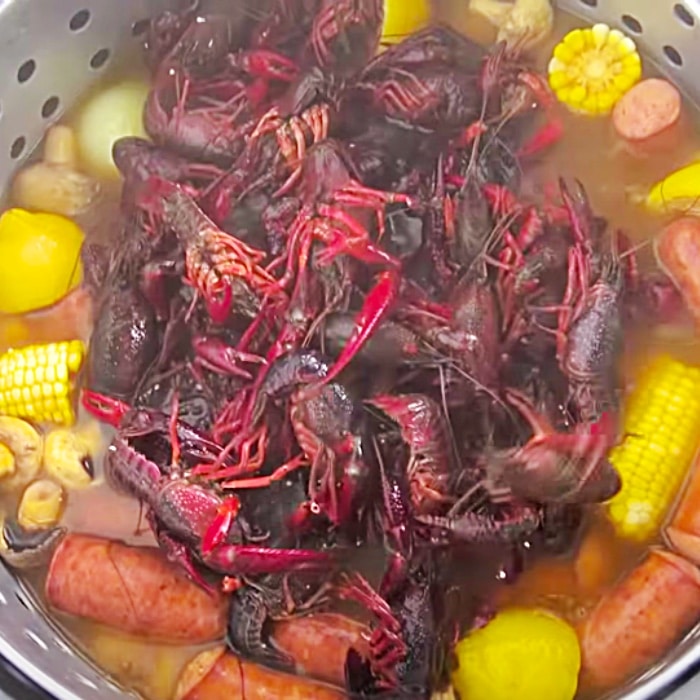 Louisiana Cooking Ideas - Southern Style Party Ideas - How To Cook Crawdads - Crawfish Boil Party 