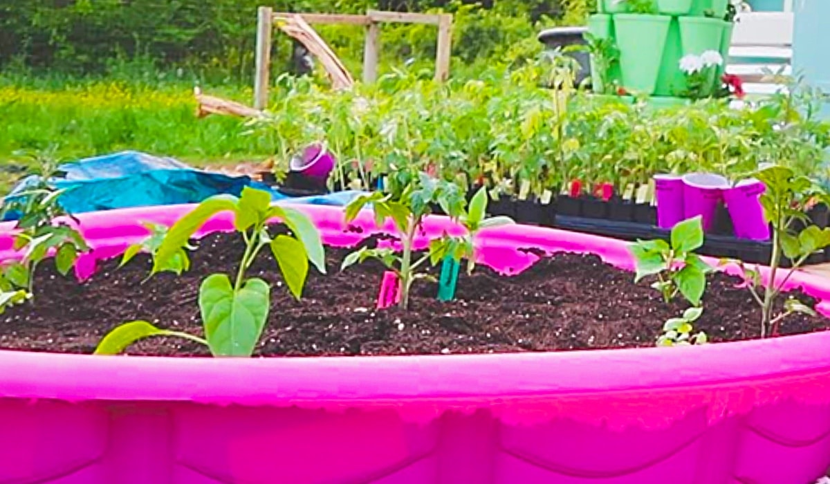 $7 Kiddie Pool Raised Garden | DIY Joy Projects and Crafts Ideas