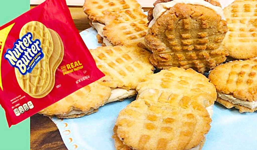 Copycat Nutter Butter Cookies - Easy To Make Nutter Butter Cookies - Peanut butter Cookie Recipe